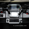 Ybzl1 Vente de voiture électrique à trois roues à chaud